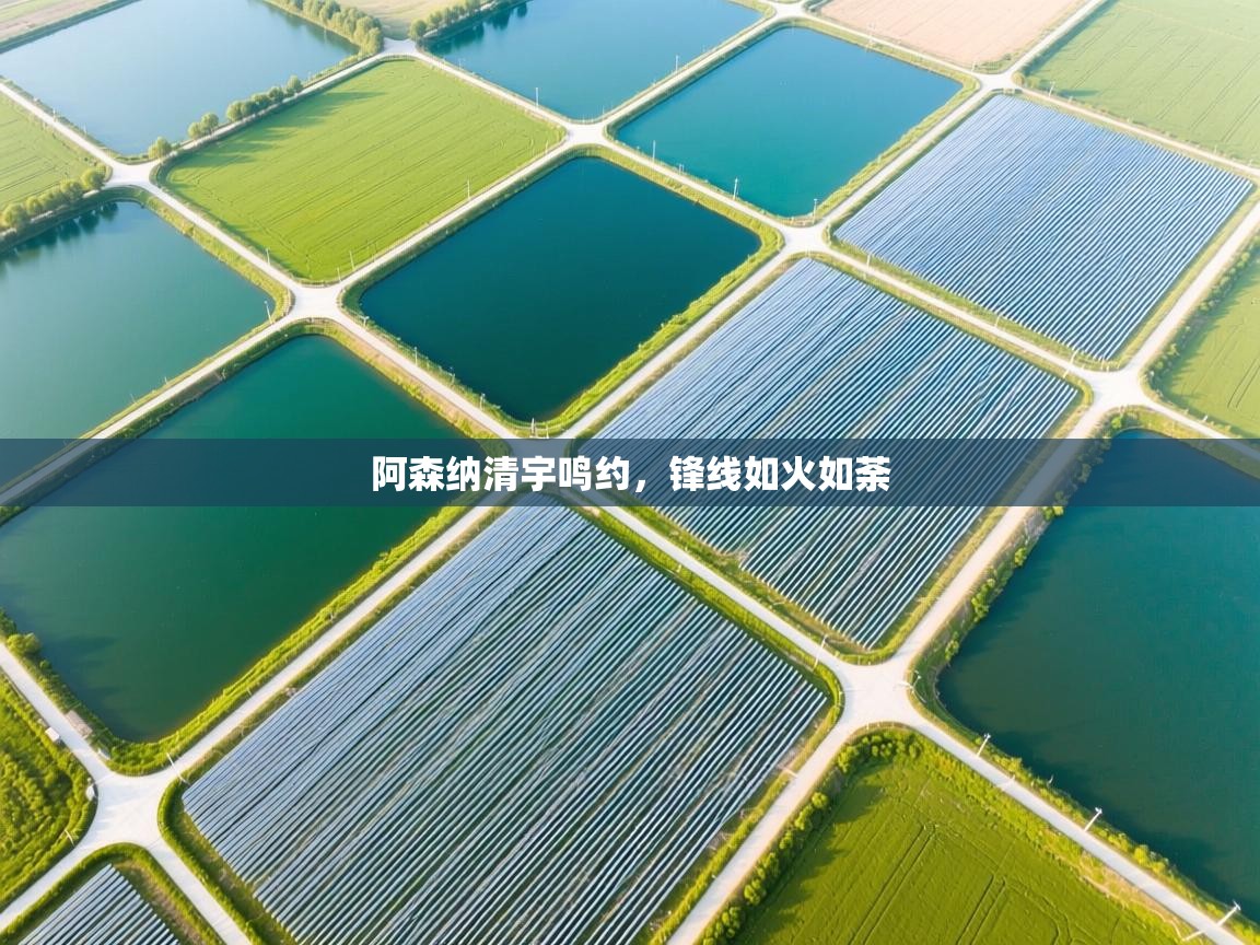 阿森纳清宇鸣约，锋线如火如荼  第1张