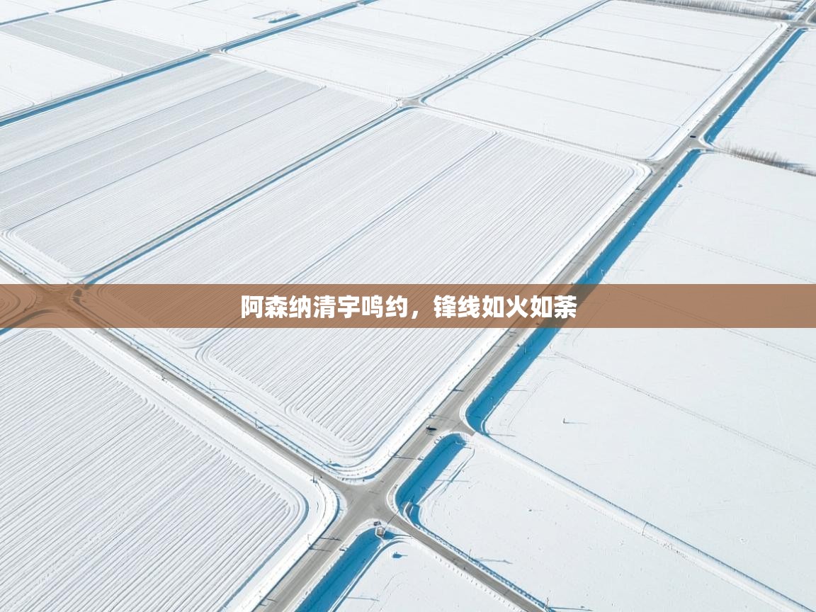 阿森纳清宇鸣约，锋线如火如荼  第2张