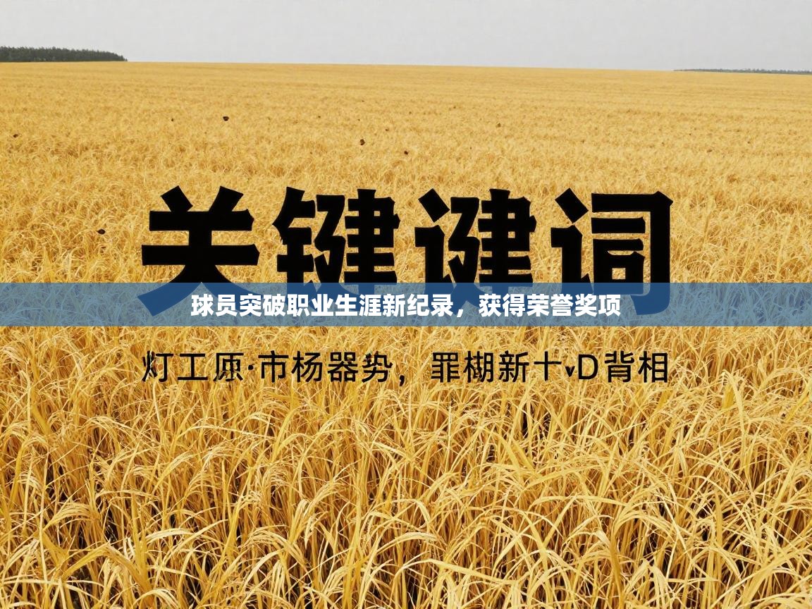 球员突破职业生涯新纪录，获得荣誉奖项  第2张