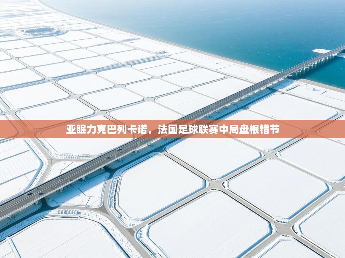 亚眠力克巴列卡诺,法国足球联赛中局盘根错节 第2张